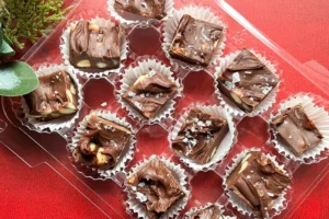 cut dark chocolate macadamia nut fudge in a box.