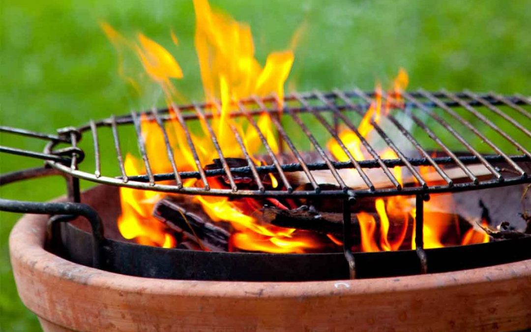 Backyard Barbecue My Curated Tastes