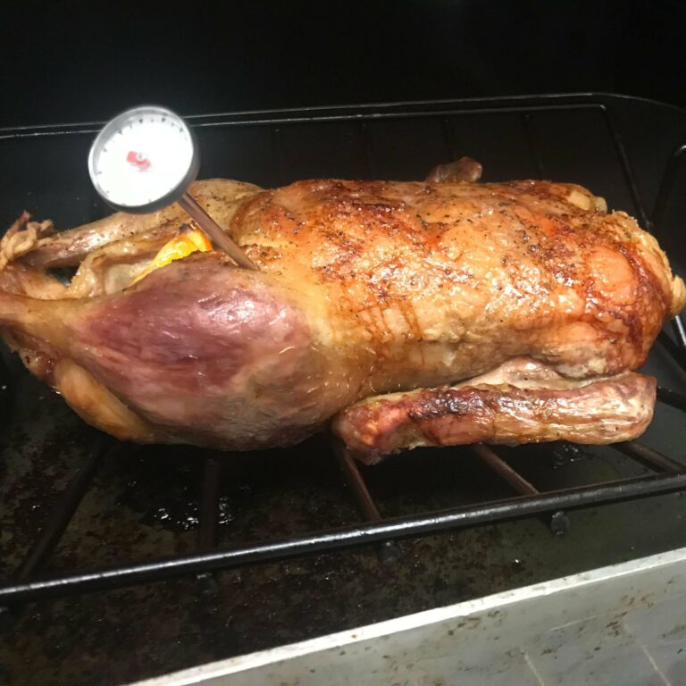 duck with thermometer in thigh.