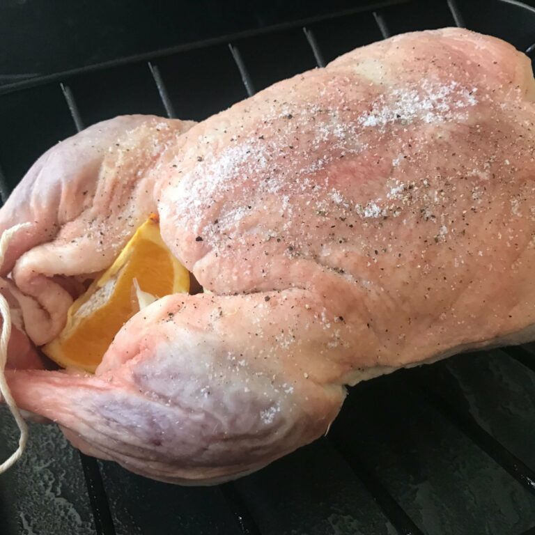 stuffed duck on a rack.