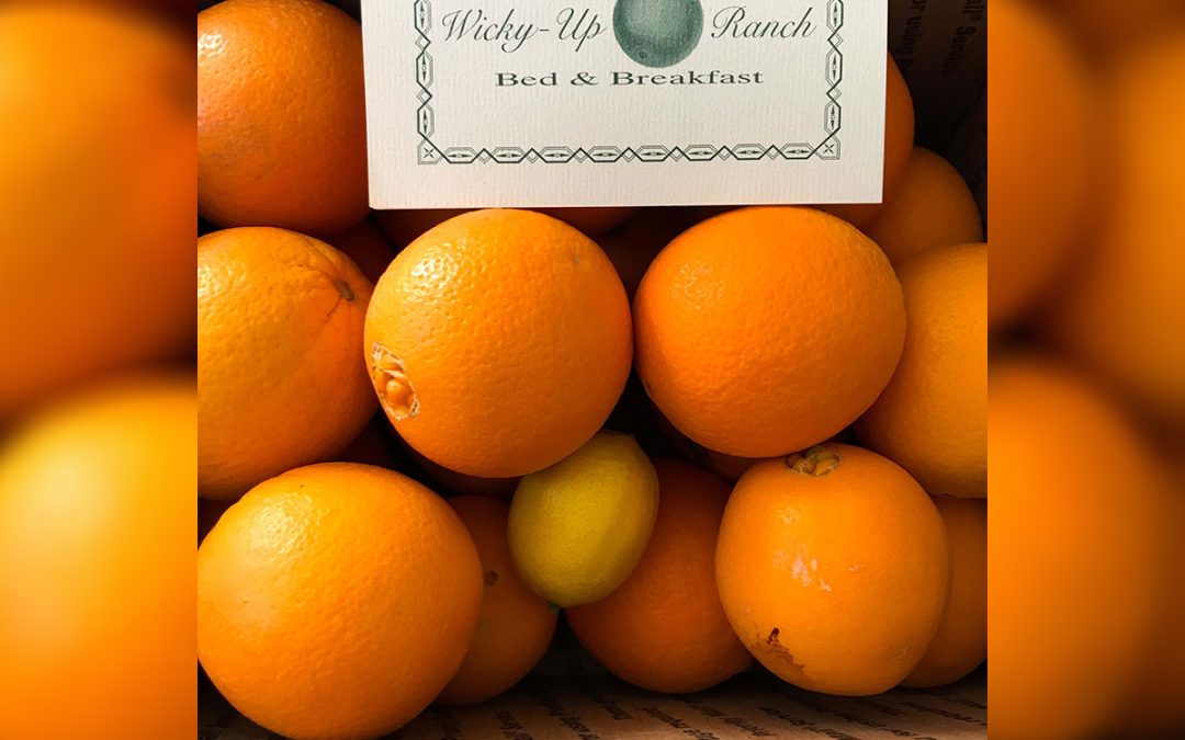 ORANGES: 5 Amazing Recipes Using Fresh Oranges