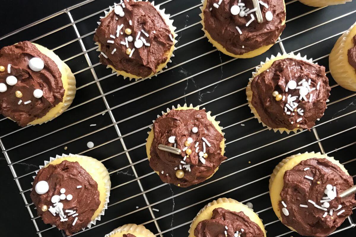 Everyday Cupcakes with Chocolate Frosting
