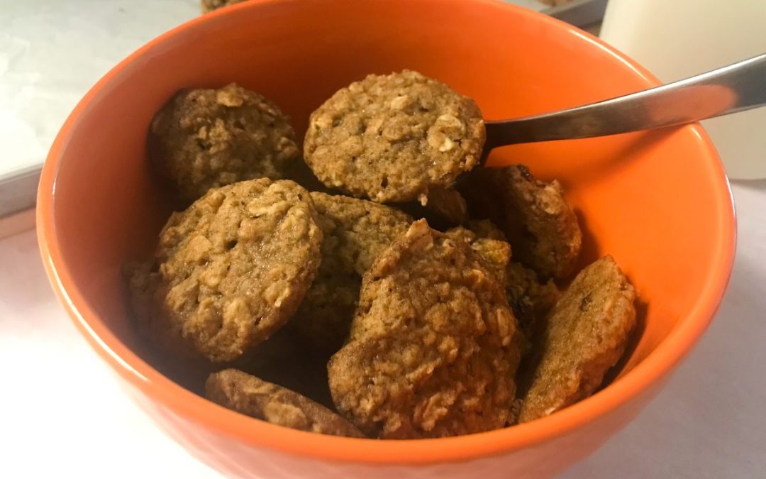 bowl of healthier oatmeal raisin cookie cereal
