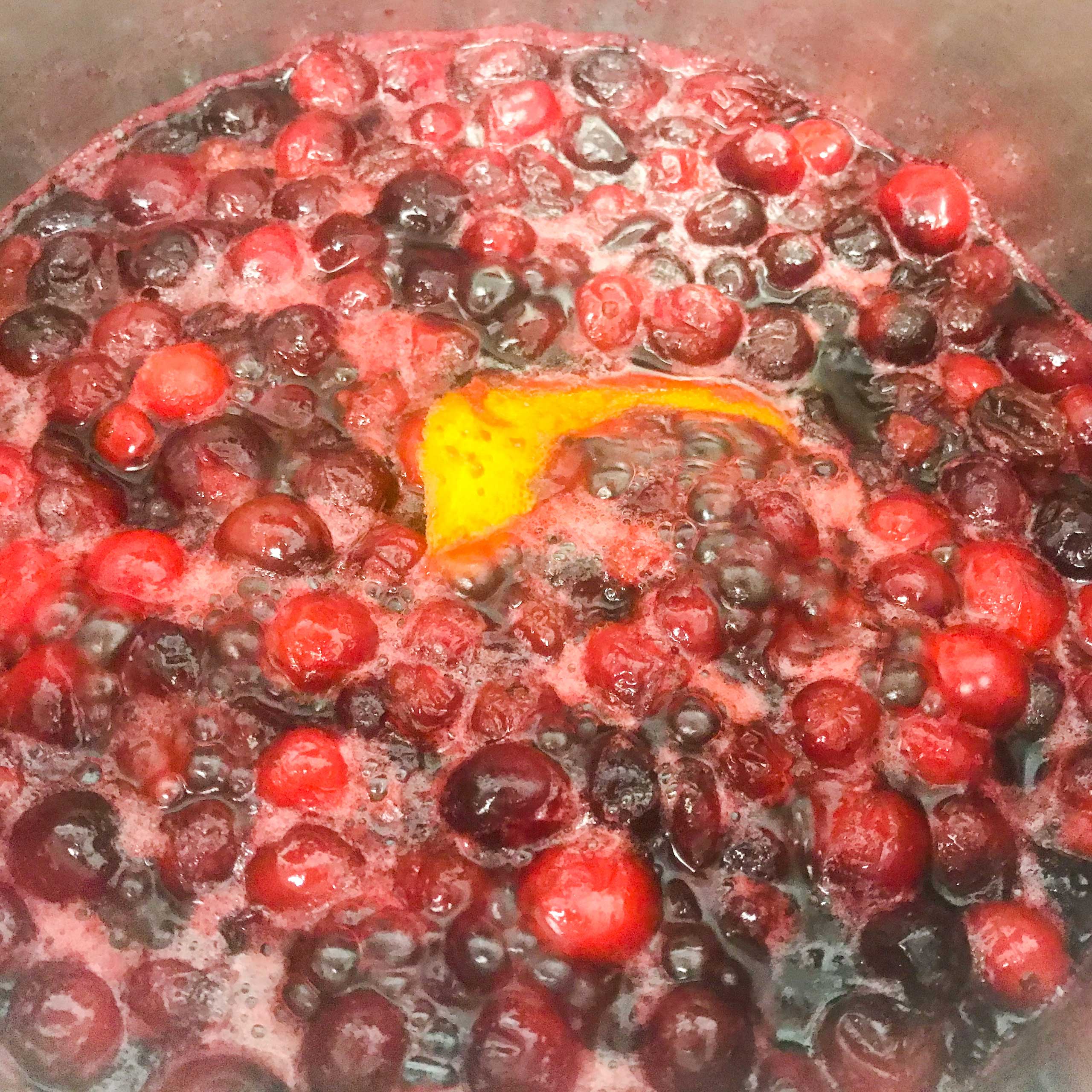 Jellied-Cranberry-&-Pomegranate-Sauce-2
