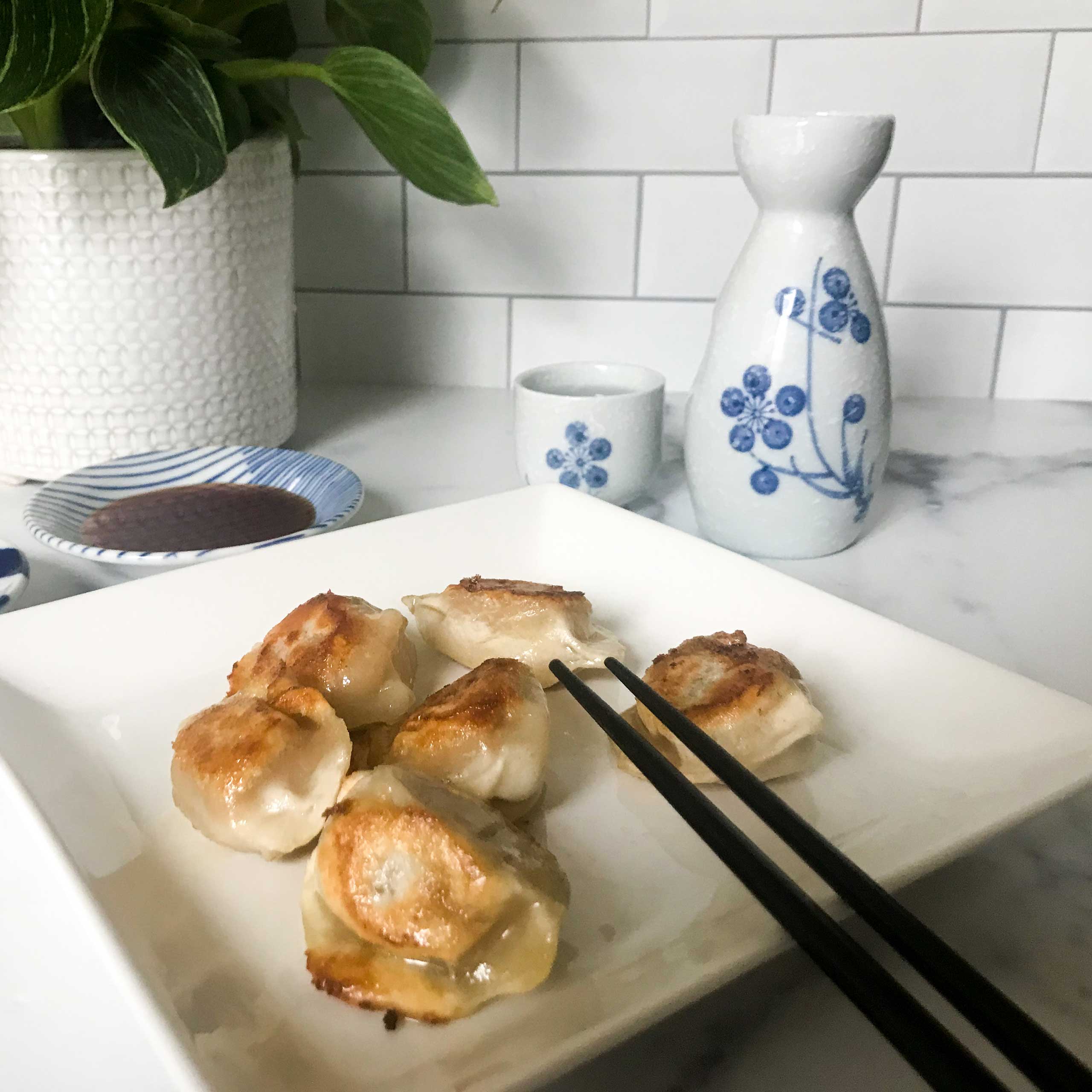 Pan-Fried-Dumplings-with-Two-Dipping-Sauces-6