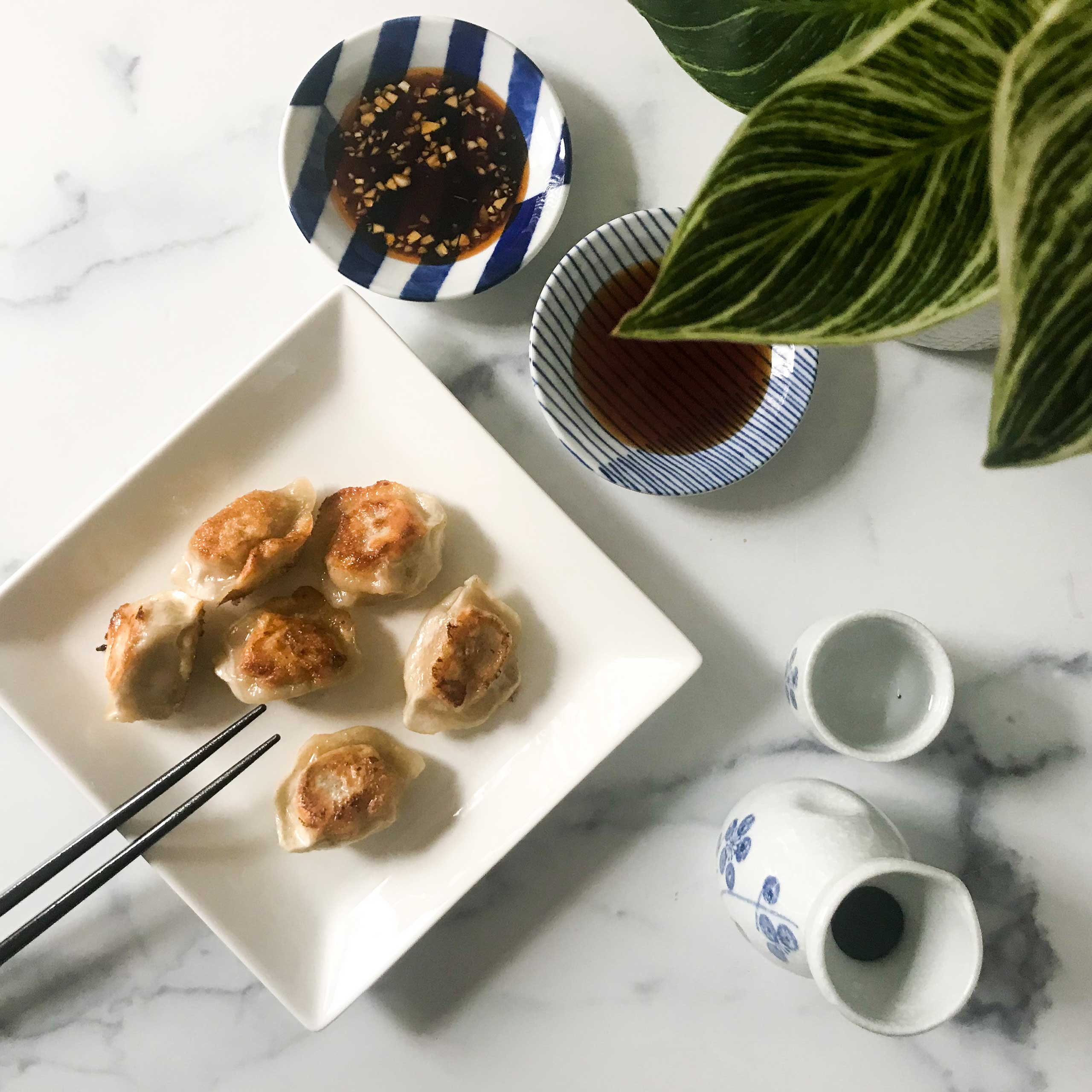 Pan-Fried-Dumplings-with-Two-Dipping-Sauces-8