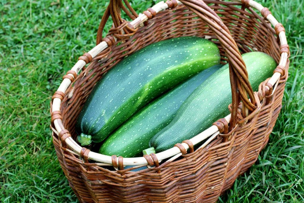 My 4 Favorite Zucchini Boat “Canoe” Recipes