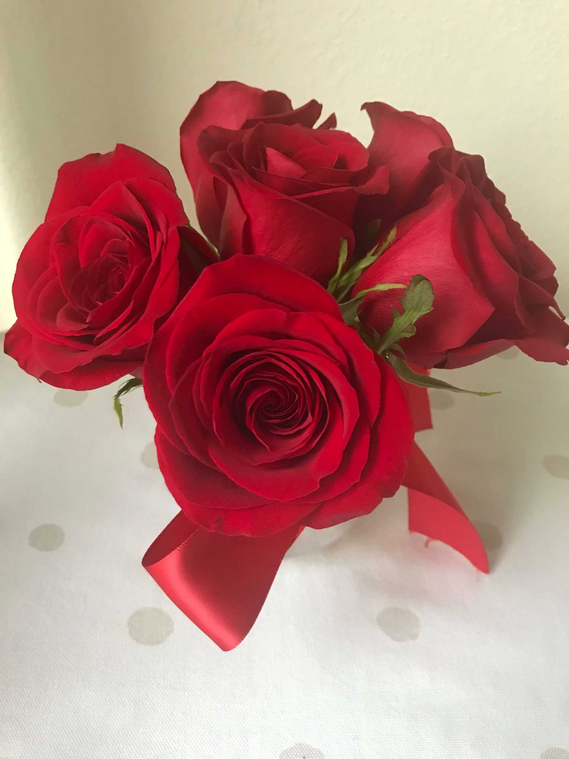 Red Roses Valentines Day | My Curated Tastes