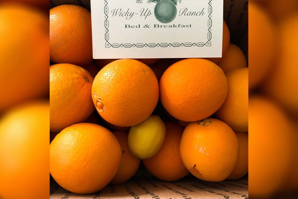 ORANGES: 5 Amazing Recipes Using Fresh Oranges