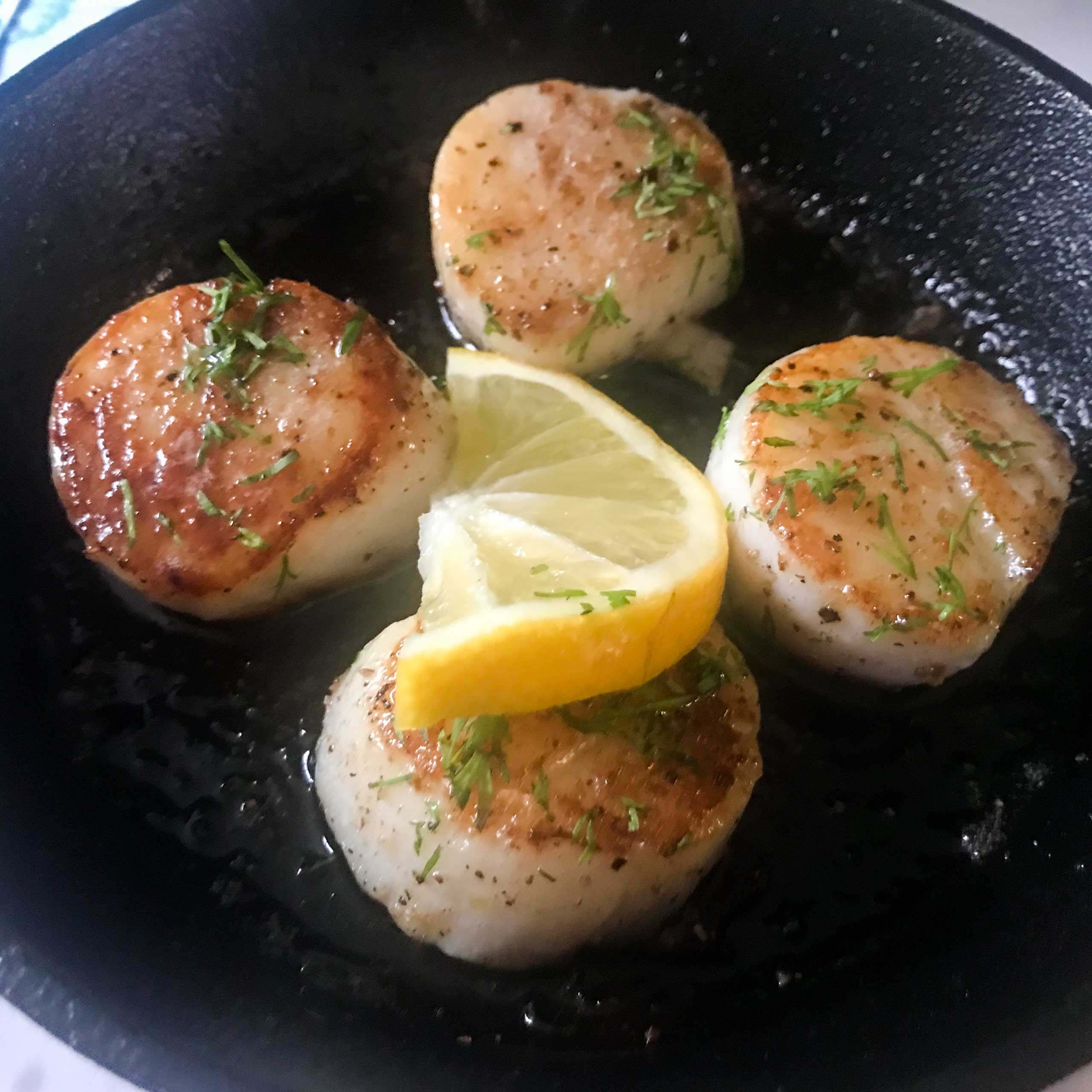 cooked scallops with dill and lemon slices.