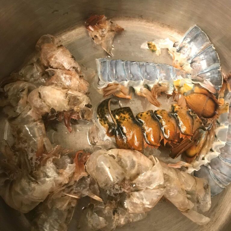 lobster and shrimp shells in a pot