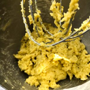 dough in a mixing bowl.