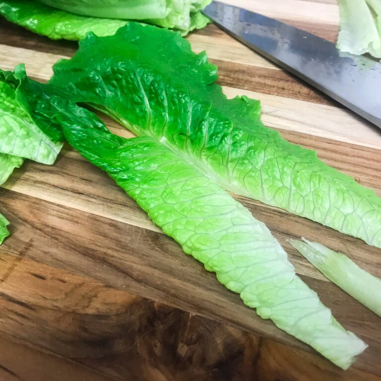 romaine lettuce leaf with core cut out.