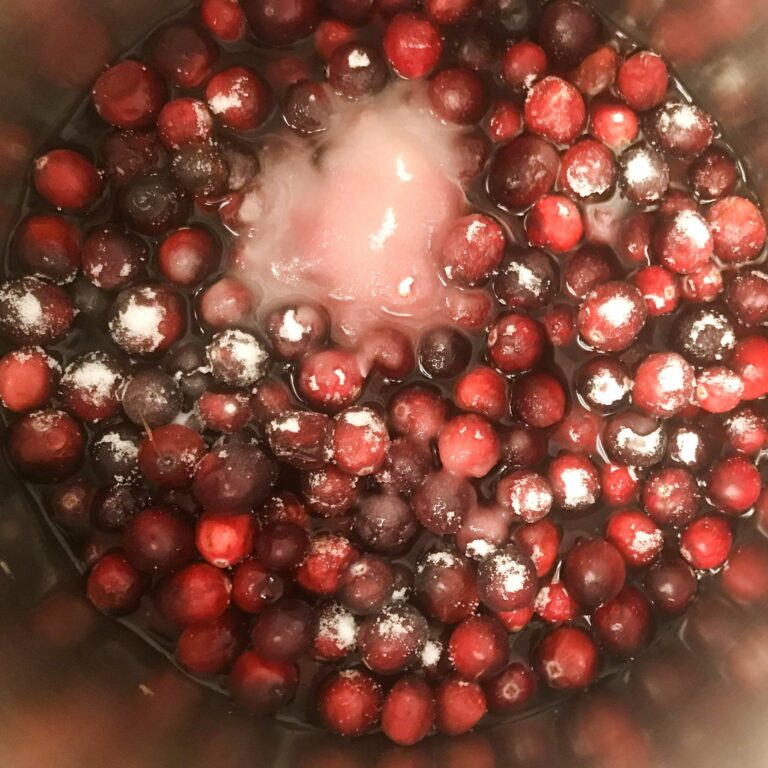 Jellied Cranberry & Pomegranate Sauce