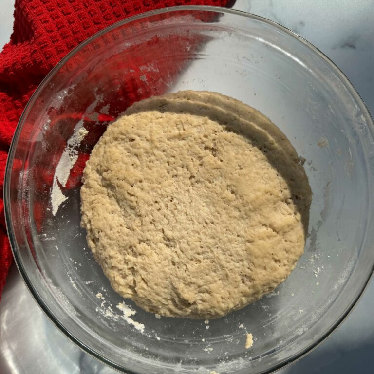 bagel dough in a bowl.