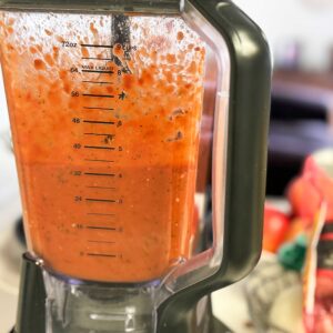 blender of pizza sauce.