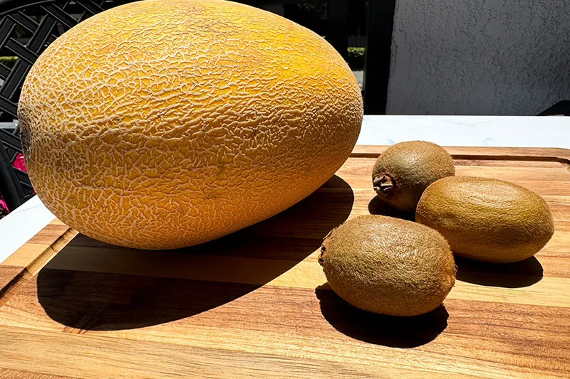 hami melon and kiwis on cutting board.