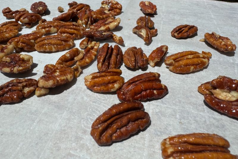 tray of candied pecans cooling.