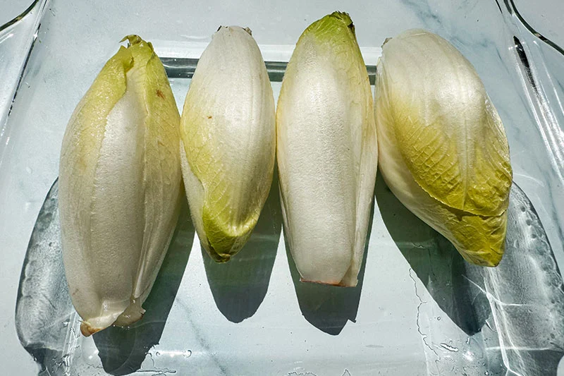 belgian endive with water in a casserole dish.