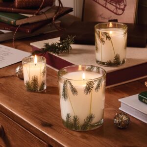 frasier fir pine candles on a desk.