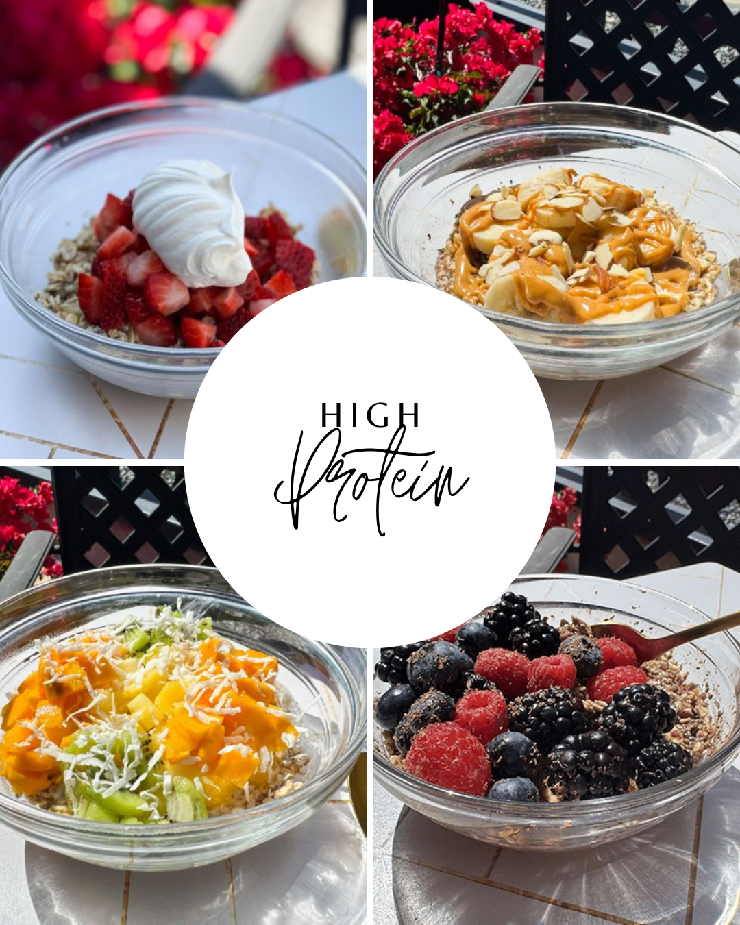 collage of high protein overnight oats options.